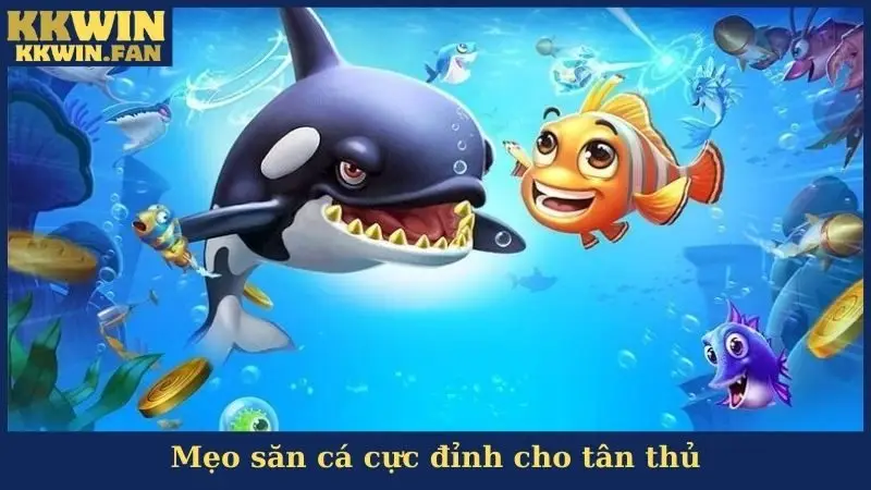 Mẹo săn cá cực đỉnh cho tân thủ